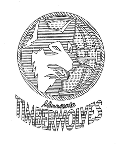MINNESOTA TIMBERMOLVES BASKETBALL LIMITED PARTNERSHIP