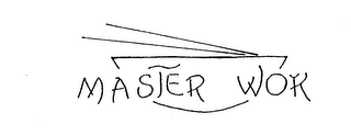 MASTER WOK