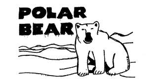 POLAR BEAR