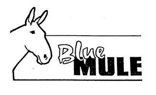 BLUE MULE