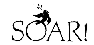 SOAR!