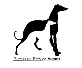 GREYHOUND PETS OF AMERICA