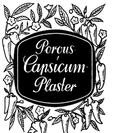 POROUS CAPSICUM PLASTER