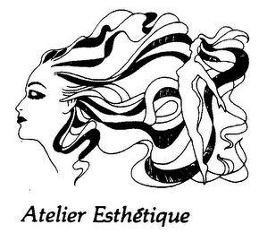 ATELIER ESTHETIQUE