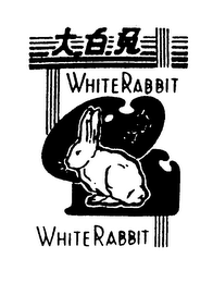 WHITERABBIT