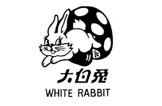 WHITE RABBIT