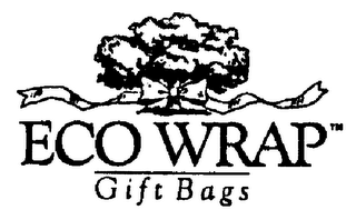 ECO WRAP GIFT BAGS