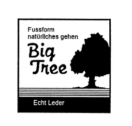 FUSSFORM NATURLICHES GEHEN BIG TREE ECHT LEDER