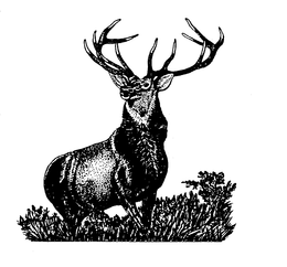 NO MARK TEXT PROVIDED trademark