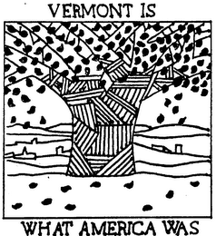 VERMONT IS WHAT AMERICA WAS