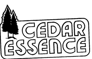 CEDAR ESSENCE