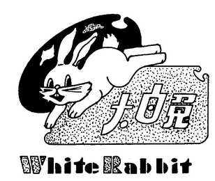 WHITE RABBIT