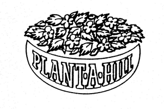 PLANT-A-HILL