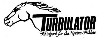 TURBULATOR WHIRLPOOL FOR THE EQUINE ATHLETE