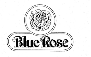 BLUE ROSE