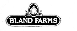 BLAND FARMS