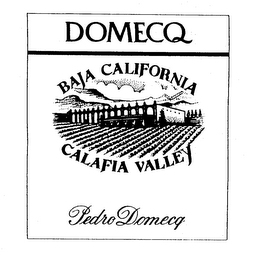 DOMECQ BAJA CALIFORNIA CALAFIA VALLEY PEDRO DOMECQ