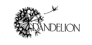 DANDELION