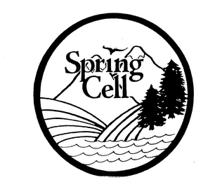 SPRING CELL