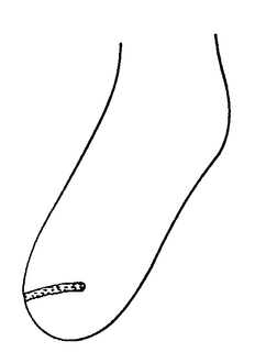 opposed trademark