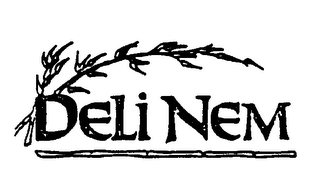 DELI NEM