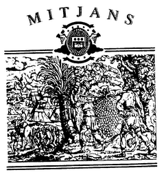 MITJANS