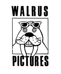 WALRUS PICTURES