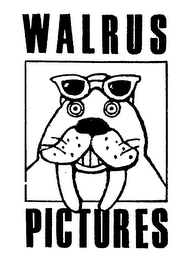 WALRUS PICTURES