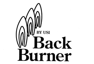 BACK BURNER BY USI