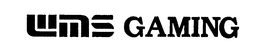 WMS GAMING INC.