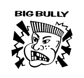 BIG BULLY