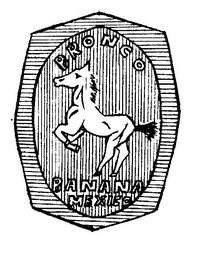 BRONCO BANANA MEXICO