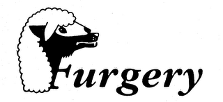 FURGERY