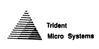TRIDENT MICRO SYSTEMS