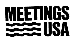 MEETINGS USA