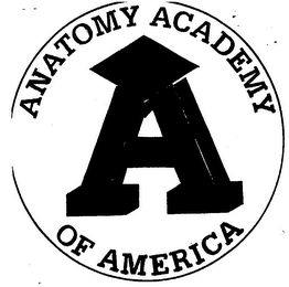 A ANATOMY ACADEMY OF AMERICA