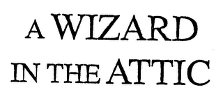 A WIZARD IN THE ATTIC