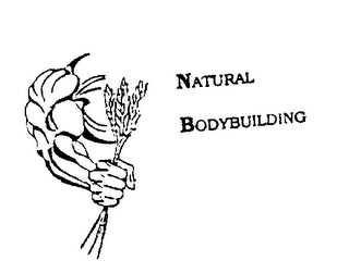 NATURAL BODYBUILDING