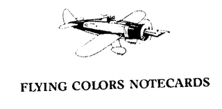 FLYING COLORS NOTECARDS