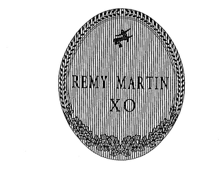 REMY MARTIN XO