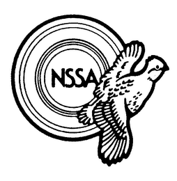 NSSA