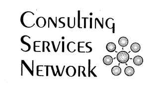 CONSULTING SERVICES NETWORK