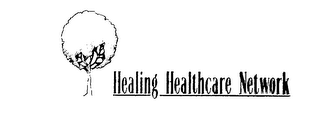 HEALING HEALTHCARE NETWORK