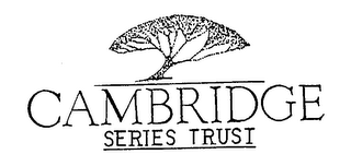 CAMBRIDGE SERIES TRUST