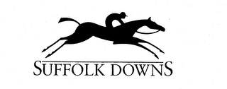 SUFFOLK DOWNS