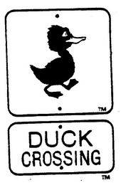 DUCK CROSSING