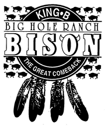 KING B BIG HOLE RANCH BISON THE GREAT COMEBACK