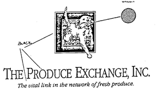 THE PRODUCE EXCHANGE, INC. THE VITAL LINK IN THE NETWORK OF FRESH PRODUCE.