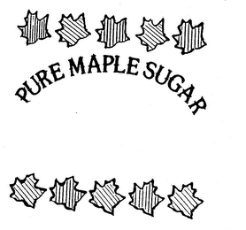 PURE MAPLE SUGAR