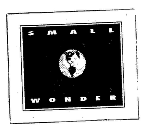 SMALL WONDER